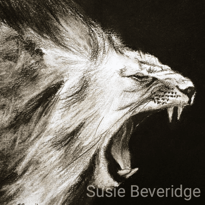 Lion sketch