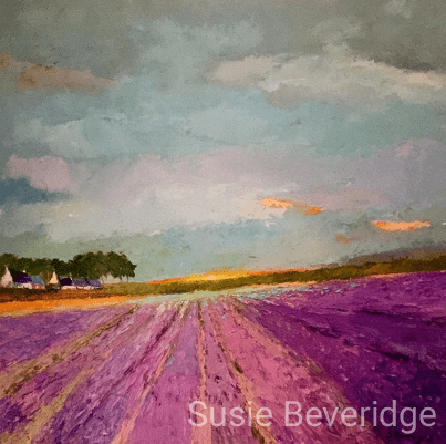 Field of Lavender