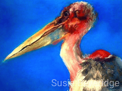Marabou stork in pastel