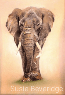 Elephant pastel sketch on the easel
