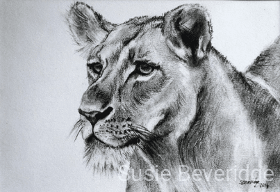 female lioness