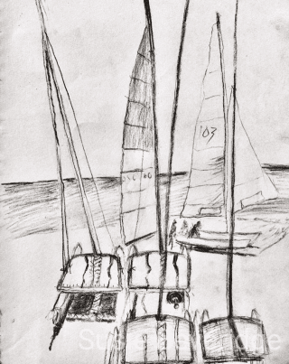 charcoal sketch of the hobie cat boats
