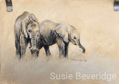 Hungry baby elephants
