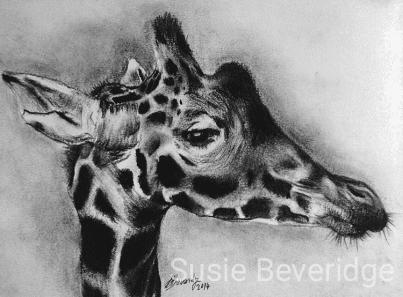 Giraffe sketch