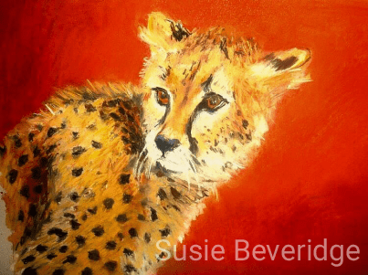 Cheetah cub in Kenya