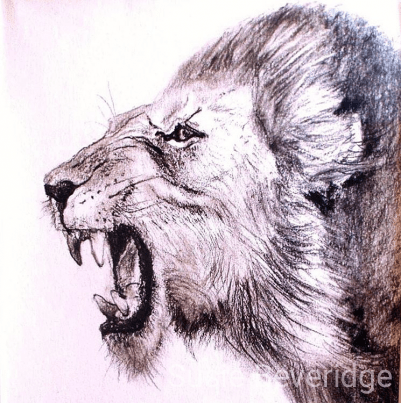Roaaaar!!
