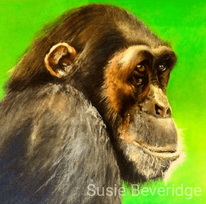 Wizened chimp
